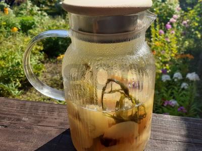 Vitaminų kompotas su obuoliais, erškėtuogėmis ir estragonu pagrindine nuotrauka