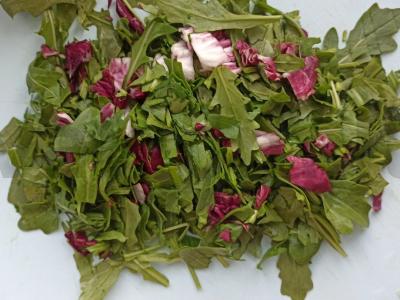 Vasaros salotos su rukola, krapais ir kalendra Žingsnis 5