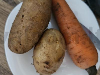 Klasikinis „Silkė po šubą“ Žingsnis 1