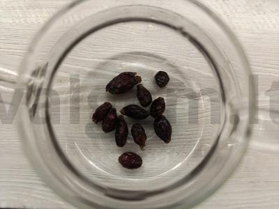 Šaltinis iš erškėčių ir džiovintų vaisių Žingsnis 2