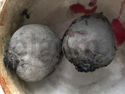 Burokėlių-sūrio užkandis Žingsnis 4