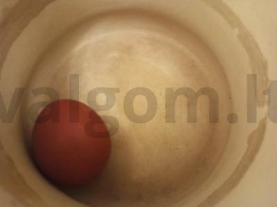 Salotas su pomidorais, sūriu ir marinuotais pipirais „Fantazijų skrydis“ Žingsnis 2