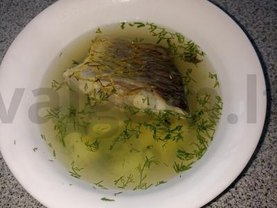 Karpių žuvis pietums pagrindine nuotrauka