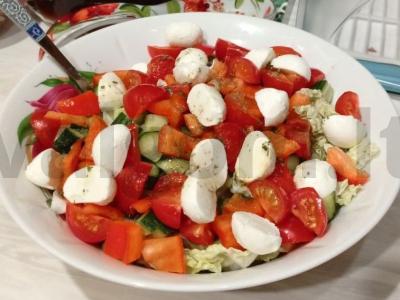 Daržovių salotas su mocarela augaliniame aliejuje pagrindine nuotrauka