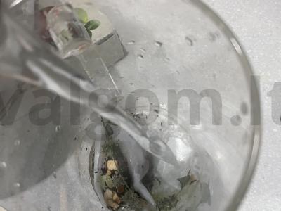 Tvirtas autorinis arbata „Hortenzija“ Žingsnis 4