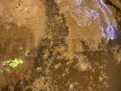 Obuolių sultys iš dviejų obuolių veislių Žingsnis 5