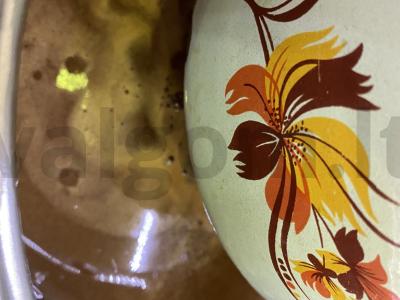 Obuolių sultys iš Antonovkos be cukraus Žingsnis 2