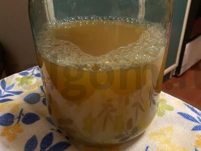 Obuolių sultys iš Antonovkos be cukraus Žingsnis 4