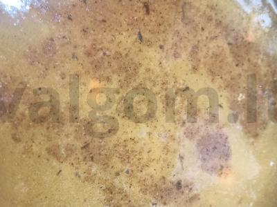 Lęšių sriuba su rūkyta sūriu ir prieskoniais Žingsnis 6