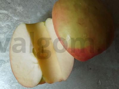 Salotos su tunu, morkomis ir obuoliu Žingsnis 4