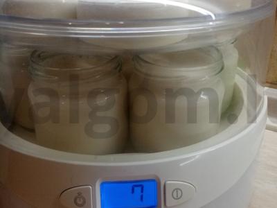 Namų jogurtas iš išrūgų pieno ir grietinėlės Žingsnis 7