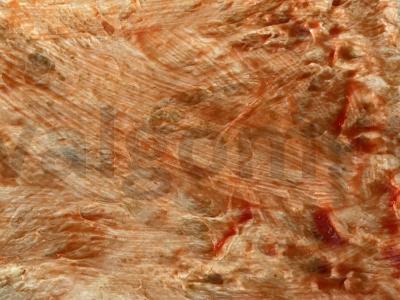 Pica „Asorti“ su kietu sūriu Žingsnis 1