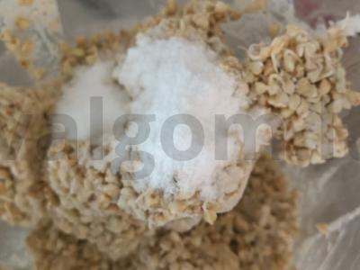 Šarlotė su varškės skoniu Žingsnis 3