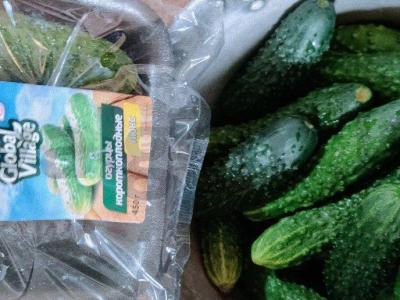 Sūdyti agurkai su krienų, vyšnių ir juodųjų serbentų lapais Žingsnis 1