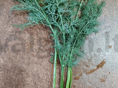 Sūdyti agurkai su krienų, vyšnių ir juodųjų serbentų lapais Žingsnis 3