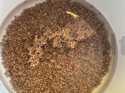 Grikių košė su keptomis Vienos dešrelėmis Žingsnis 1