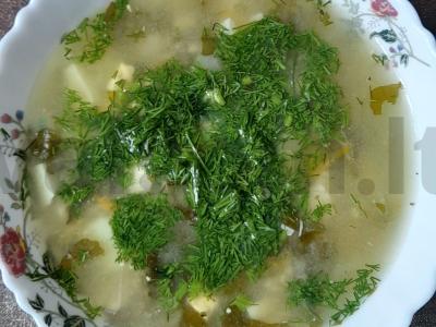 Žaliasis šaltibarščiai su vištienos filė pagrindine nuotrauka