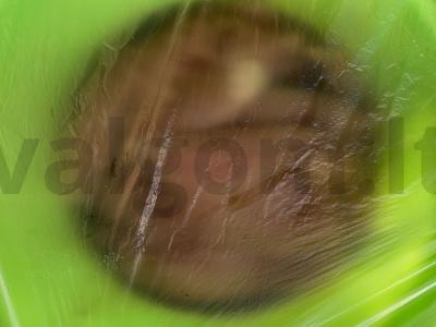 Vištienos krūtinėlės filė steikai su paprika ir terijaki padažu Žingsnis 6