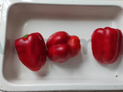 Marinuoti bulgarų pipirai Žingsnis 1