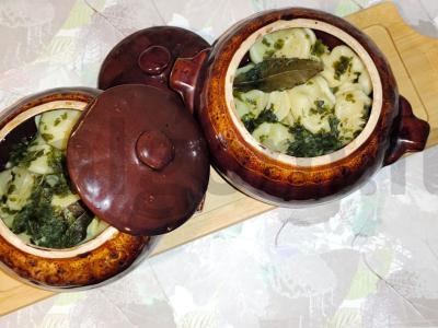 Koldūnai puoduose su džiovintomis krienų lapais pagrindine nuotrauka