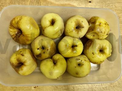 Keptos antonovkos su džiovintais abrikosais ir riešutais Žingsnis 8