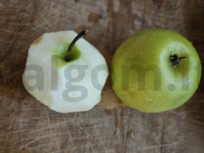 Švelnūs obuolių blynai su cukraus pudra Žingsnis 1