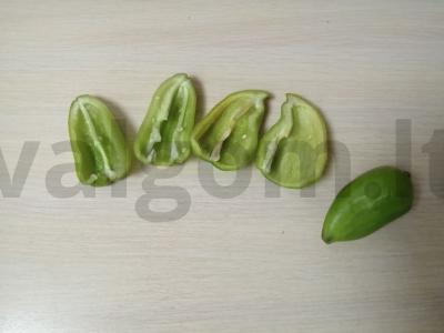 Įdaryti pipirai „Valtelės“ Žingsnis 2