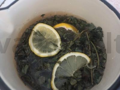 Gaivus gėrimas su mėtomis ir citrina Žingsnis 2