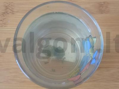 Gaivus gėrimas su mėtomis ir citrina pagrindine nuotrauka