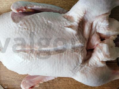 Sultinga antis medaus-garstyčių marinate Žingsnis 1