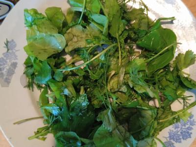 Salotas su mocarela ir garstyčių padažu Žingsnis 1