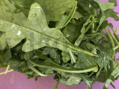 Salotos su raudona žuvimi ir vynuogių sėklų aliejumi Žingsnis 1