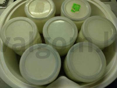 Jogurtas ant acidofilino Žingsnis 3