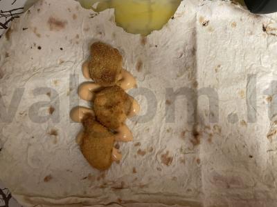 Kvietinė bandelė su mėsa, sūriu ir daržovėmis Žingsnis 1