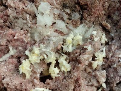 Makaronų lizdai su faršu po sūriu orkaitėje Žingsnis 1