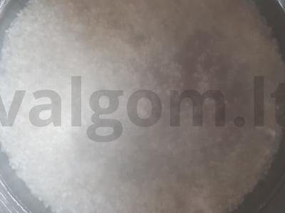 Įdaryti pipirai lėtoje viryklėje Žingsnis 2