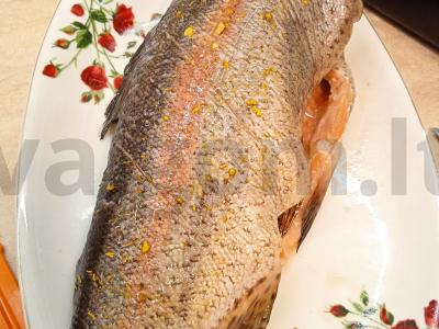 Vaivorykštinė upėtakis orkaitėje Žingsnis 3