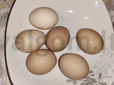 Užkandis „Šprotų-patetinis nuotaika su salierais“ Žingsnis 1