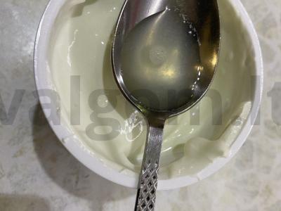 Namų sūris filadelfija iš grietinės Žingsnis 2