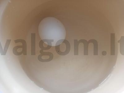 Salotas „Gvardijos“ su dešra Žingsnis 1