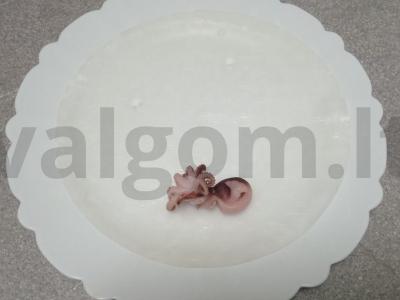 Vietnamietiški ritinėliai su aštuonkojais Žingsnis 3