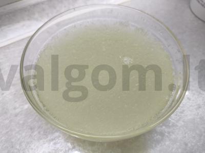 Rūgštynės mousse-gelis Žingsnis 1