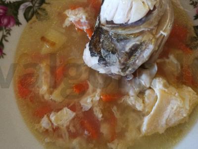 Žuvienė iš lydekos galvų ir uodegų su kiaušiniu pagrindine nuotrauka