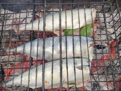 Skumbrija ant anglių su pipirmėte Žingsnis 4