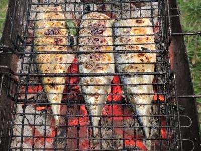 Skumbrija ant anglių su pipirmėte Žingsnis 5