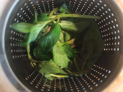 Gaivus arbata su mėtomis ir melisa Žingsnis 1