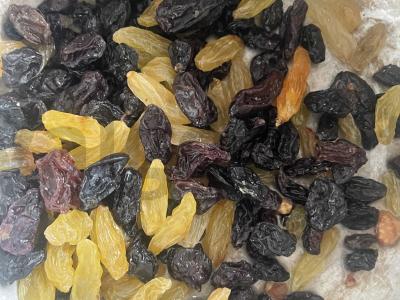 Džiovintų abrikosų ir razinų kompotas su cinamonu Žingsnis 1