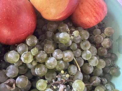 Vaisių salotos su braškių pasta Žingsnis 1