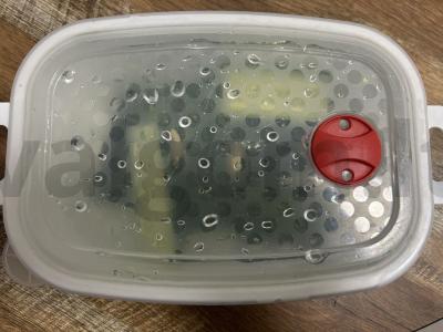 Mažai sūdyti agurkai mineraliniame vandenyje Žingsnis 5