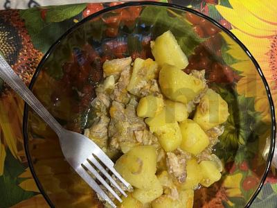 Bulvytė su troškiniu pietums pagrindine nuotrauka